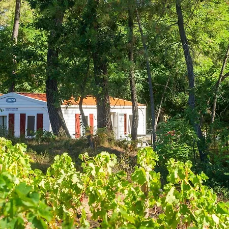 Vakantiepark Vtf La Croix De Vinchannes Joyeuse
