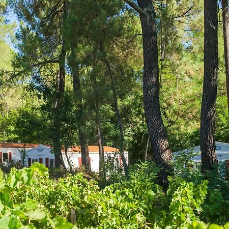 Vtf La Croix De Vinchannes Vakantiepark
