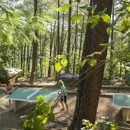 Parco vacanze Vtf La Croix De Vinchannes